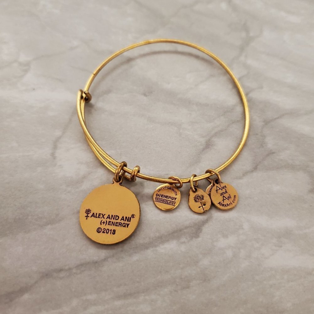 ✨ Alex and Ani Gold Path of Life Expandable Charm Bracelet ✨ - Picture 2 of 3